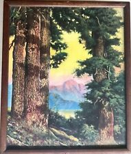 Framed forest wilderness for sale  Shipping to Ireland