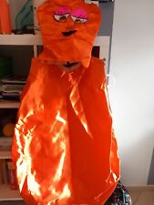 Carnevale vestito costume usato  Giarre