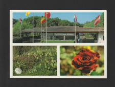 Baia domizia caserta usato  Cirie