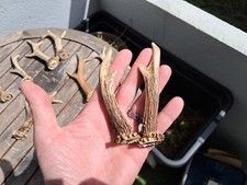 Paar rehholz s9 gebraucht kaufen  Versand nach Germany