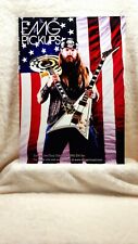 emg zakk wylde usato emg zakk wylde usato Spedire a Italy