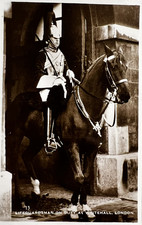 London whitehall horse for sale  POOLE