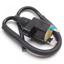 Bobine allumage p2r d'occasion  Bourg-Argental