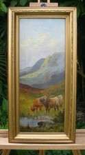 Oil canvas highland for sale  LOUGHBOROUGH