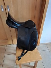 Prestige hippos dressage gebraucht kaufen  Bodenkirchen