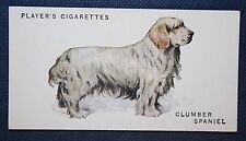 Clumber spaniel vintage for sale  DERBY