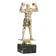 Trofeo boxe pugilato usato  Capua