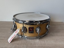 Premier genista maple for sale  Bellingham