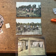 Vintage hop picking for sale  PRESTEIGNE