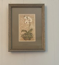 Blum orchids print for sale  Hartsville