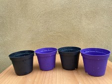 Mini plant pot for sale Mini plant pot for sale  UK