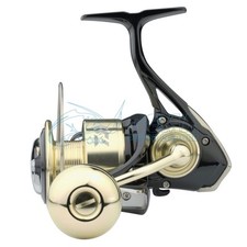 Daiwa mulinello gt usato  Formia