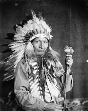 Chief red horn for sale  Wichita