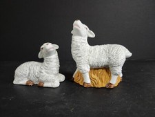 lambs sheep rams for sale lambs sheep rams for sale Eau Claire