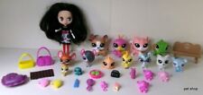 Lot blythe petshop d'occasion  Villefranche-de-Rouergue