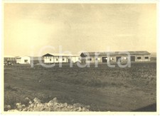1930 sibari bonifica usato  Milano