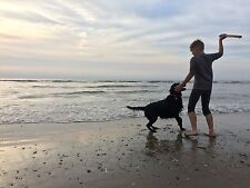 Dänemark hund ferienhaus gebraucht kaufen  Pulheim