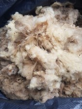 Schafwolle rohwolle 4kg gebraucht kaufen  Dielheim