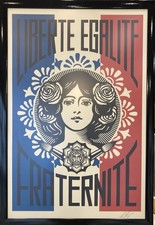 Shepard fairey liberté d'occasion  Livarot