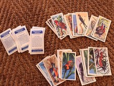 brooke bond tropical birds for sale  SHREWSBURY