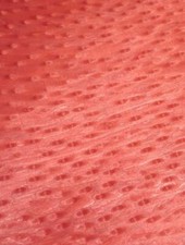 Veneer oeil perdreau d'occasion Veneer oeil perdreau d'occasion  Expédié en France