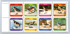 Staffa scotland birds for sale  SLEAFORD