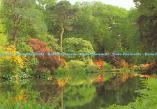 D028209 top pond. for sale  WARLINGHAM