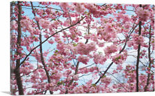 plum red blossom canvas for sale  Niles