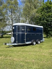 Fautras oblic horse for sale  STROUD