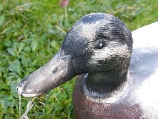 Canard colvert appelant d'occasion  Cugnaux
