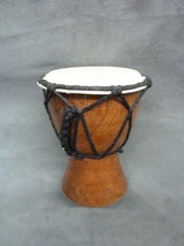 Lovely mini african for sale  GLOUCESTER