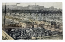 Cartolina union stock usato  Spedire a Italy