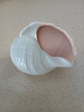 Poole pottery conch for sale Poole pottery conch for sale  CHRISTCHURCH