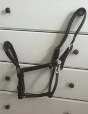 Lederhalfter glitzer nasenriem gebraucht kaufen  Stadtoldendorf