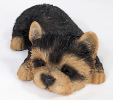 Yorkshire terrier puppy for sale  Grinnell
