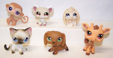Lot hasbro littlest for sale  Rochester