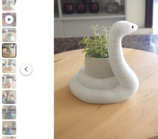 Snake plant pot for sale  Tallahassee