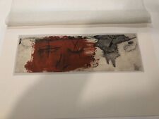 Antoni tapies serigrafia usato  Roma
