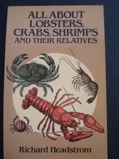 Aragoste crostacei all usato  Italia