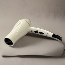 Professional 1875w ionic for sale  Garden City