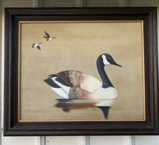 Canadian goose swim for sale  Fillmore