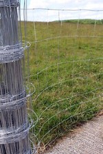 Stock fencing sheep for sale  CREDITON