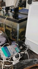 Random fish supplies for sale  Cape Coral