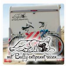 Französische bulldogge entspa gebraucht kaufen  Darmstadt