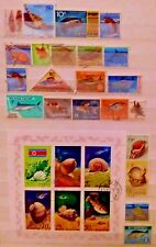 Sea water snails for sale  PERTH