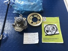 Pompa acqua honda usato  Palermo