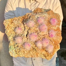 Usado, 15,4 lb raro marroquino cobalto Huayuan amostra mineral cristal mineral simbiótico comprar usado  Enviando para Brazil