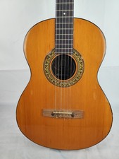 Chitarra acustica melody usato  Vaiano Cremasco