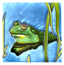Hand painted frog for sale  Aberdeen