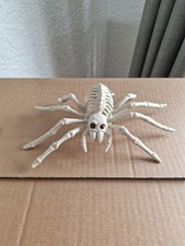 Halloween spider skeleton for sale  ALFRETON